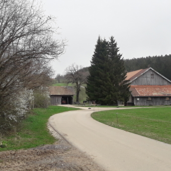 La Joux Verte - VERRIERES-DE-JOUX