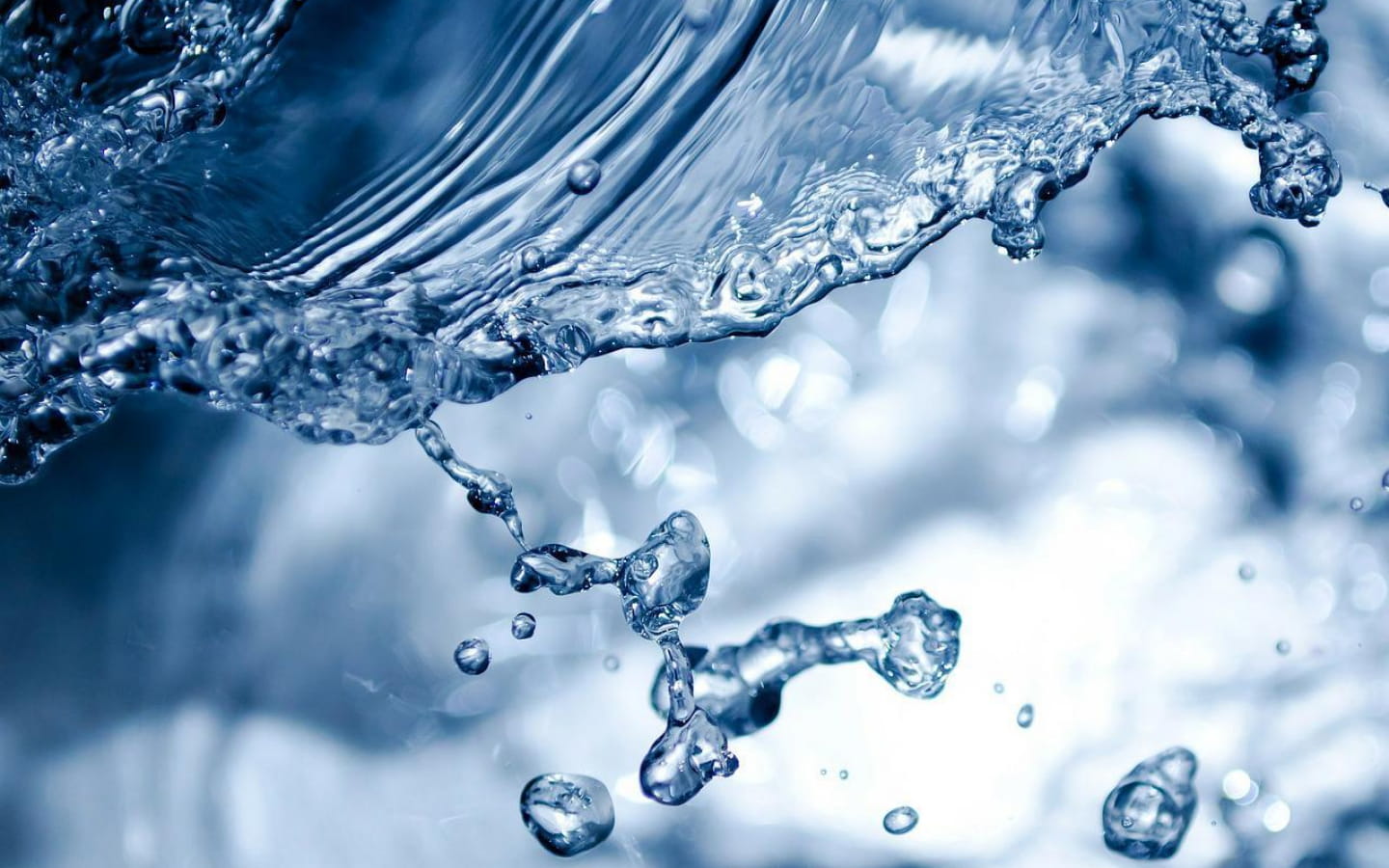 CPIE du Haut-Jura - Atelier : comment économiser et préserver l'eau au quotidien ?