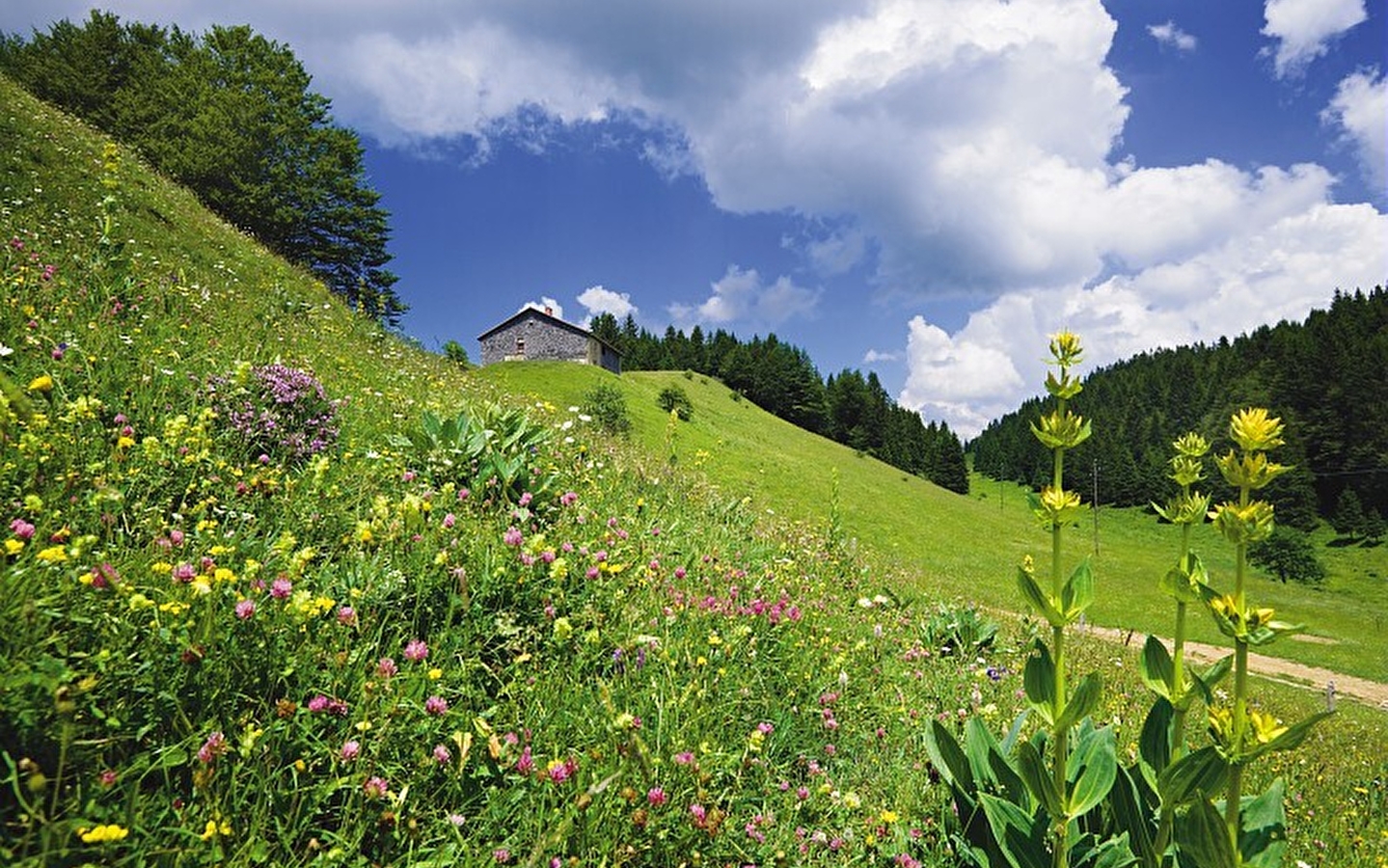 Le Doux Jura - 30N