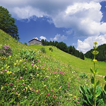 Le Doux Jura - 30N - CERNIEBAUD