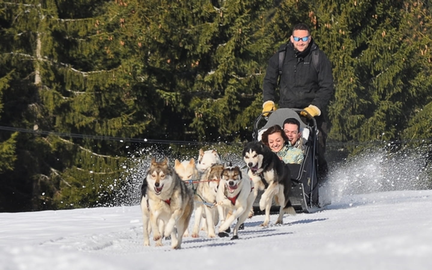 Baptême en chiens de traîneau avec Olivier Landais