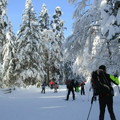 Piste de Ski de fond : La Girantette