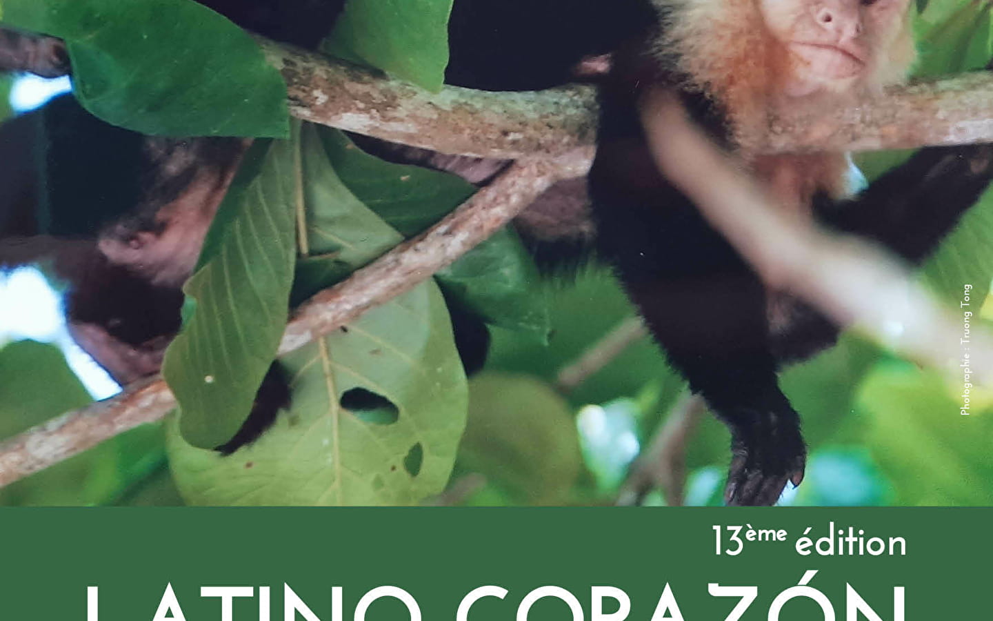 Festival 'Latino Corazón' 2022