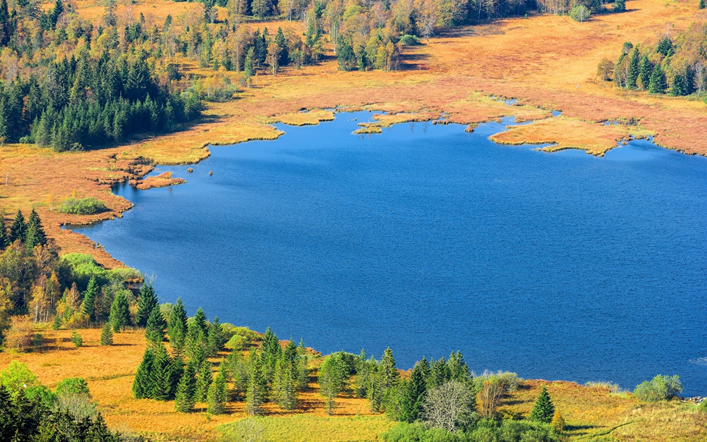 Tour des Lacs de Bellefontaine et des Mortes - 18B