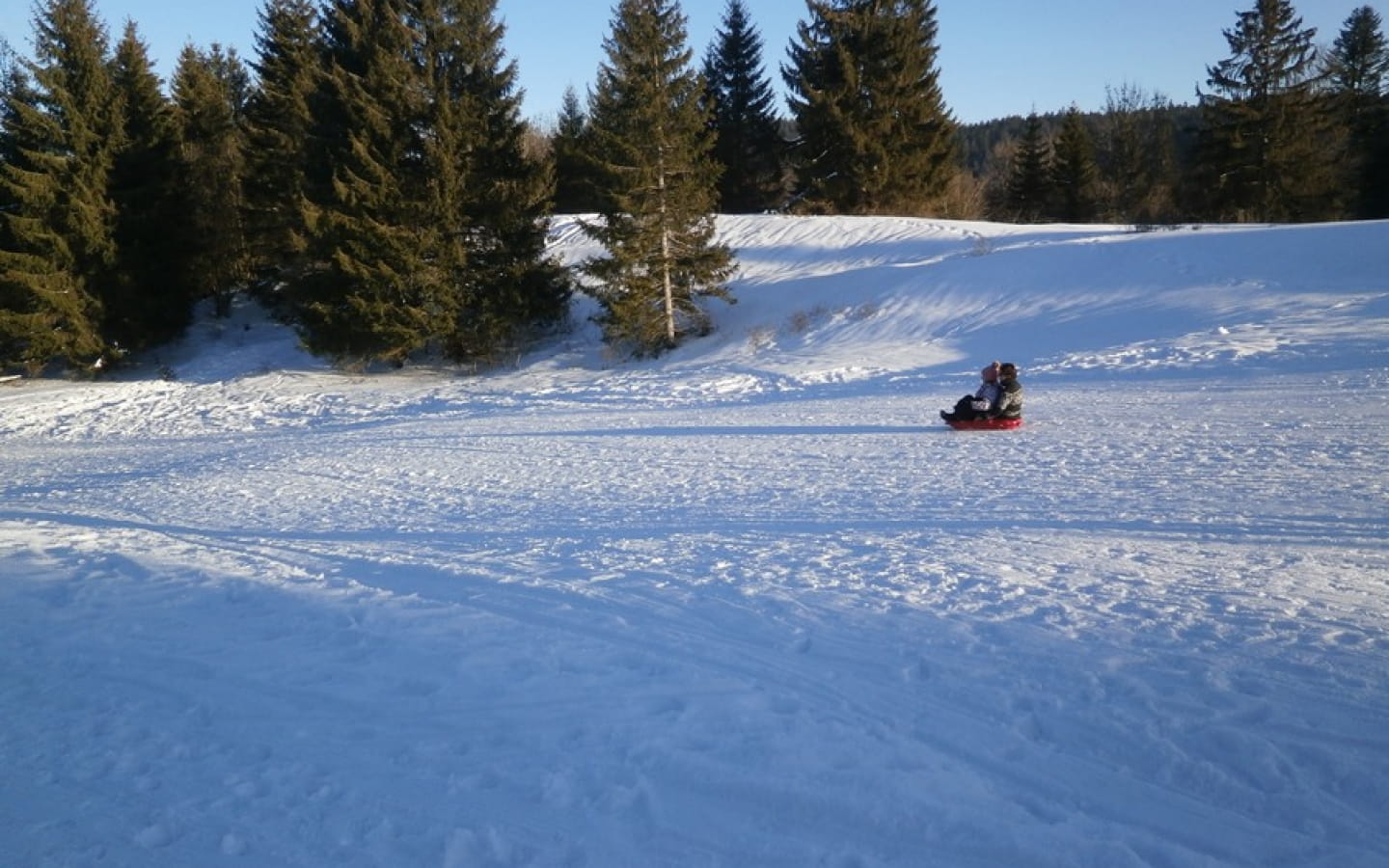 Piste de luge à Saint-Laurent en Grandvaux