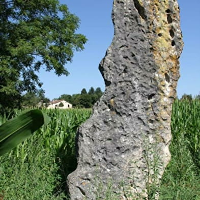 Menhir de pierre