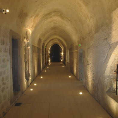 Musée de l'Abbaye / donations Guy Bardone - René Genis