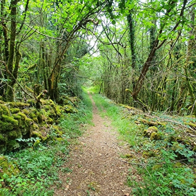 Balade - Réserve Naturelle de la grotte de Hautecourt