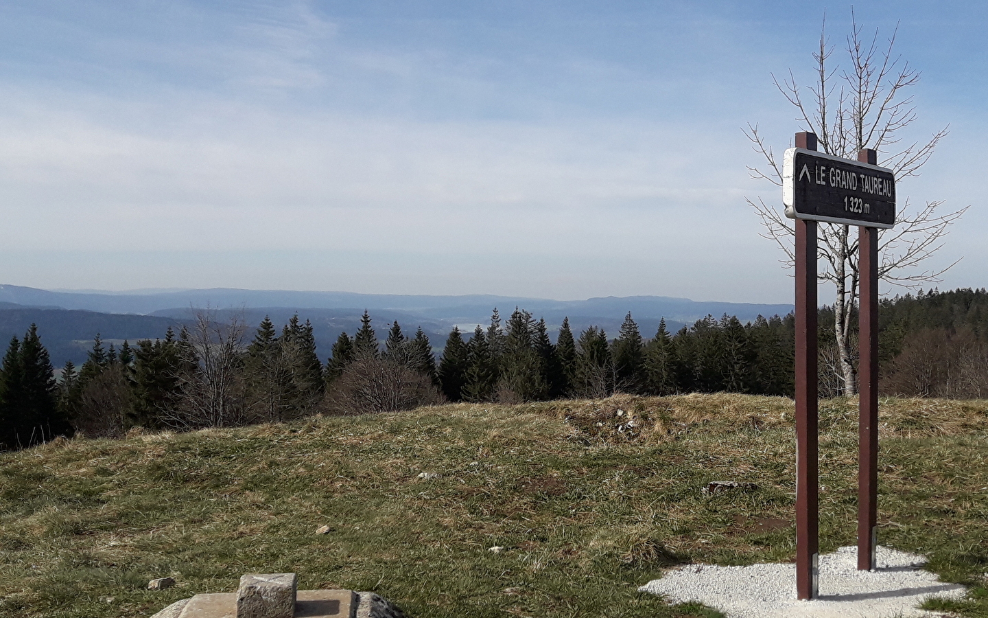 Le Grand Taureau