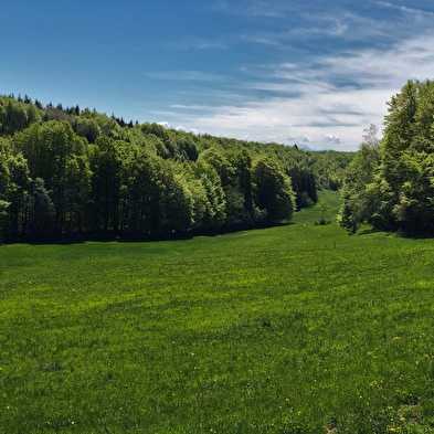 Parcours VTT 13 rouge - Le sud du Plateau de Retord - Espace FFC Ain Forestière