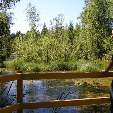 Réserve Naturelle Régionale Tourbières de Frasne Bouverans