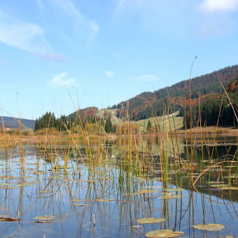 Le lac de Lamoura - LAMOURA