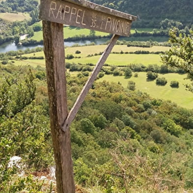 Rappel de la Pivoine