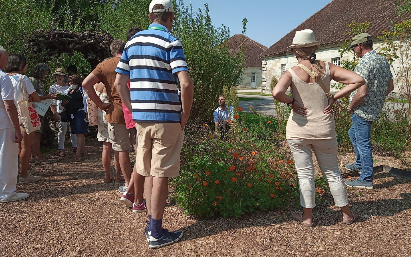 A la découverte des plantes sauvages de la Saline