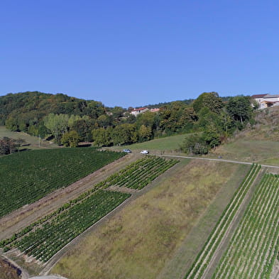 Domaine du Clos de la Bierle