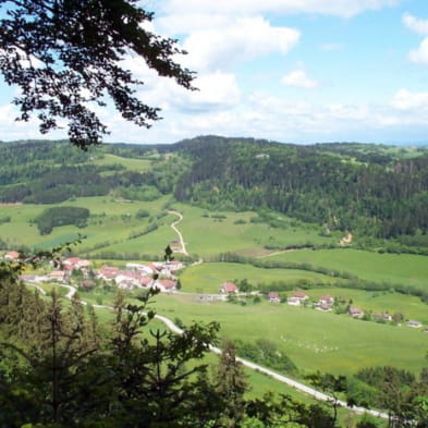 La Route des Sapins