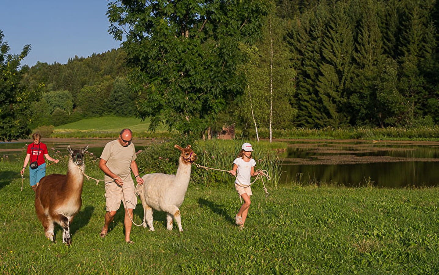 Balade avec les lamas d’Agnès Godard