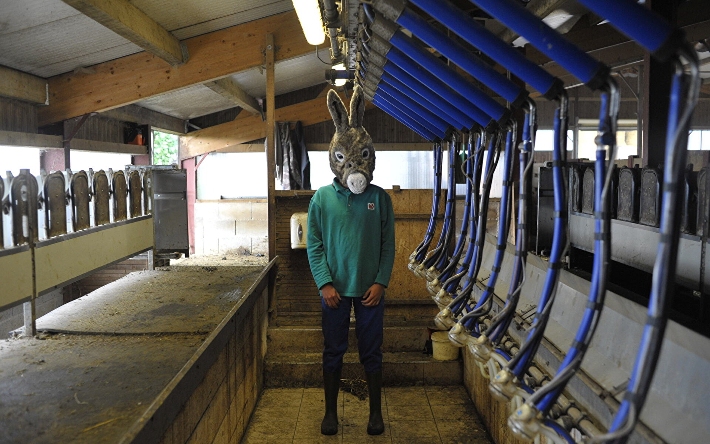 Sortie de résidence - Chlore - Cie Animal Mou