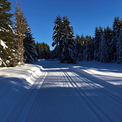 Piste bleue de ski de fond de Lachat : La Chandeleuse