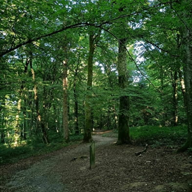 Sentier ludique de la Côte Roux