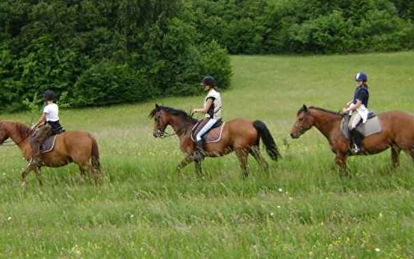 Centre Equestre de Lavant