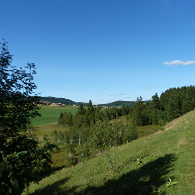 Saint-Sorlin