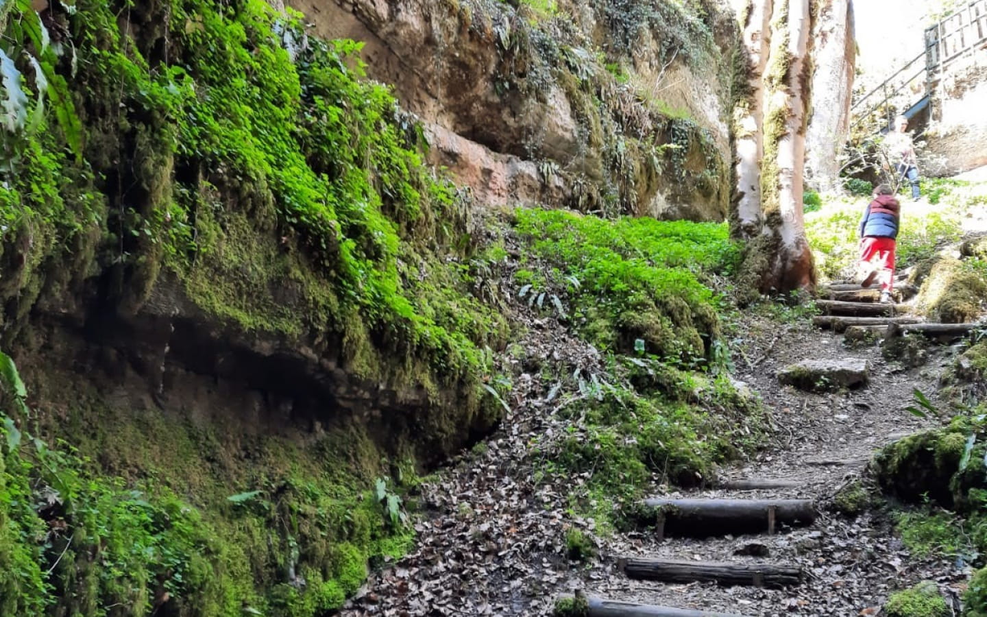 Sentier karstique du grand bois et grotte Maëva