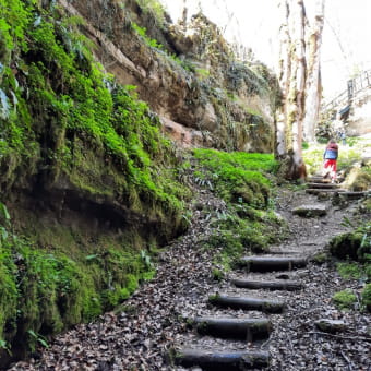 Sentier karstique du grand bois et grotte Maëva - MONTS-RONDS