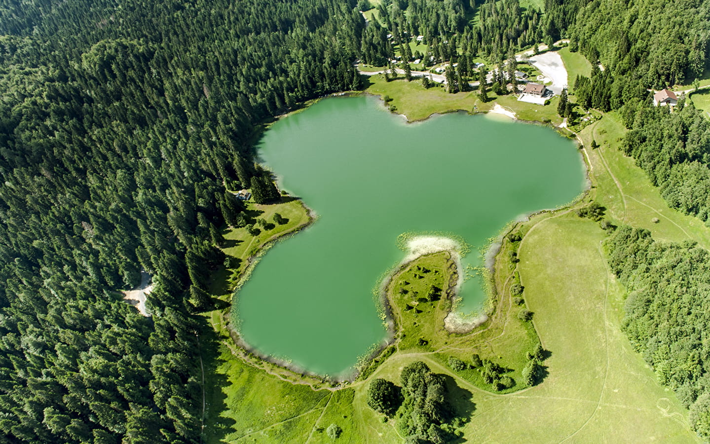 Lac Genin et ses tourbières