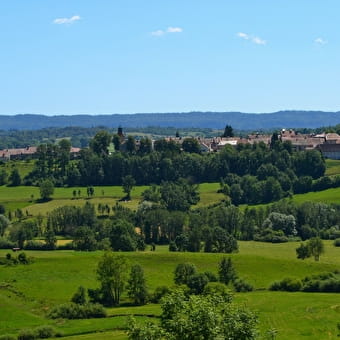 Boucle 22 : Circuit famille Haute-Joux - CERNIEBAUD