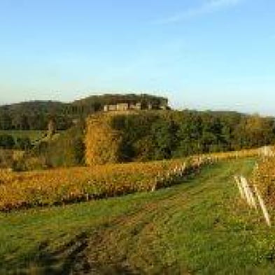 Domaine du Château d'Arlay