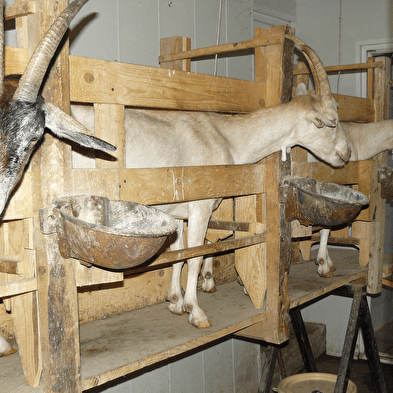 Stages à la ferme du Naray