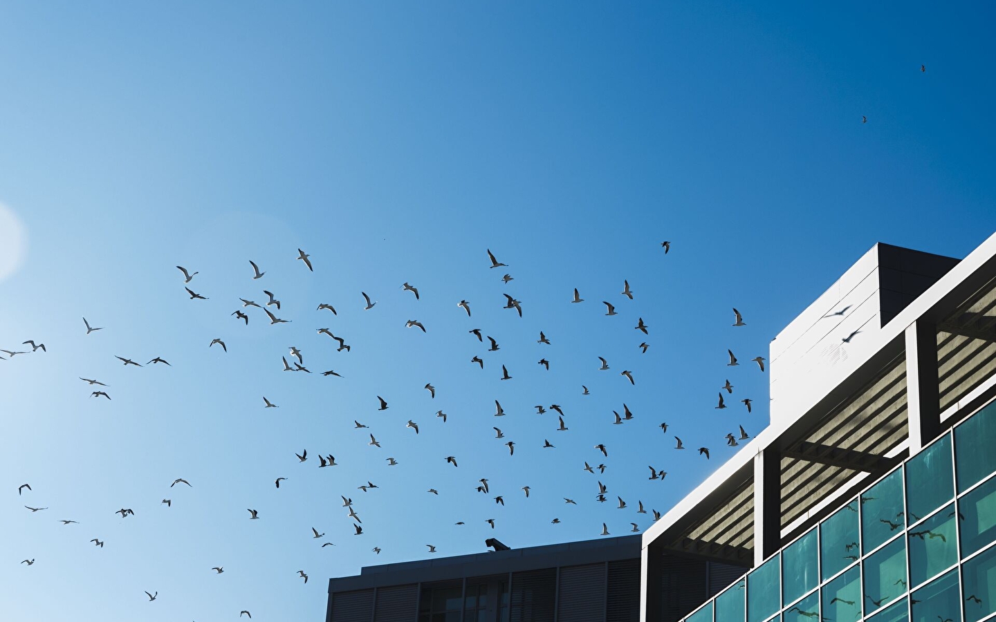 Conférence Indécence urbaine, pour un nouveau pacte avec le vivant de Guillaume Faburel - Nuits de la lecture