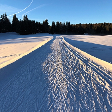 Piste rouge de ski de fond de Lachat : Le Mortier