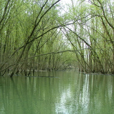 Ile du Girard