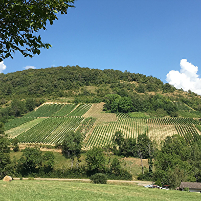Domaine de la Dentelle