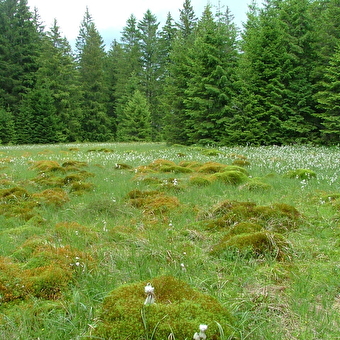 Le Verbois - LE RUSSEY