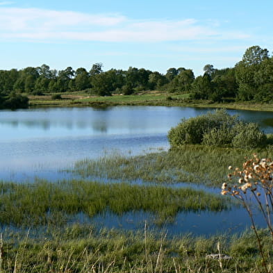 Étang d'Arsure-Arsurette