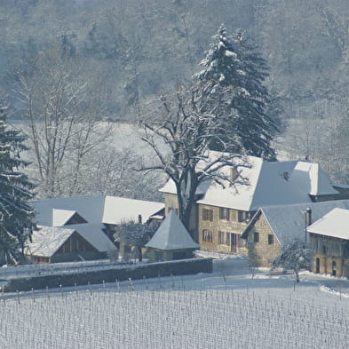 Caveau Maison Guigard