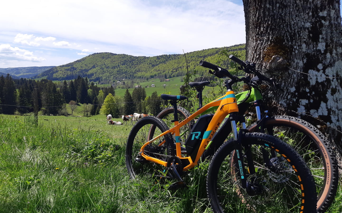 Lélex VTT - Location de VTTAE
