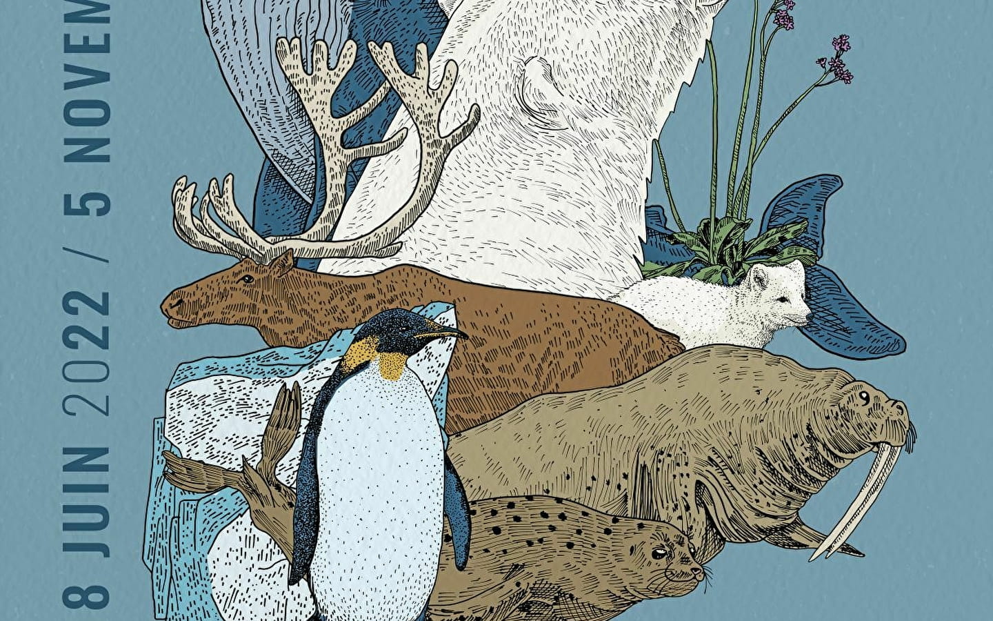 L’ours dans la biodiversité polaire