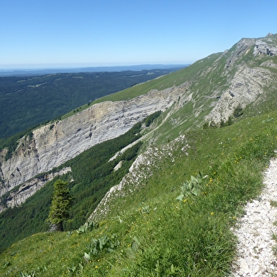 Randonnée pédestre : sur les traces des passeurs
