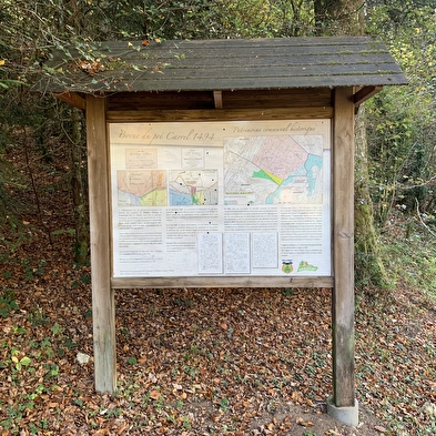 Randonnée - La borne du pré carrel