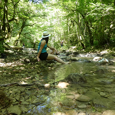 Sentier de balade : la Pernaz sauvage