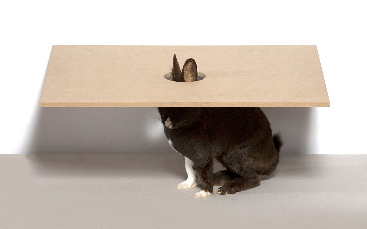 Collections mdlx - Carte blanche à Michel Delacroix