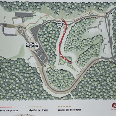 Sentier thématique : secret des plantes