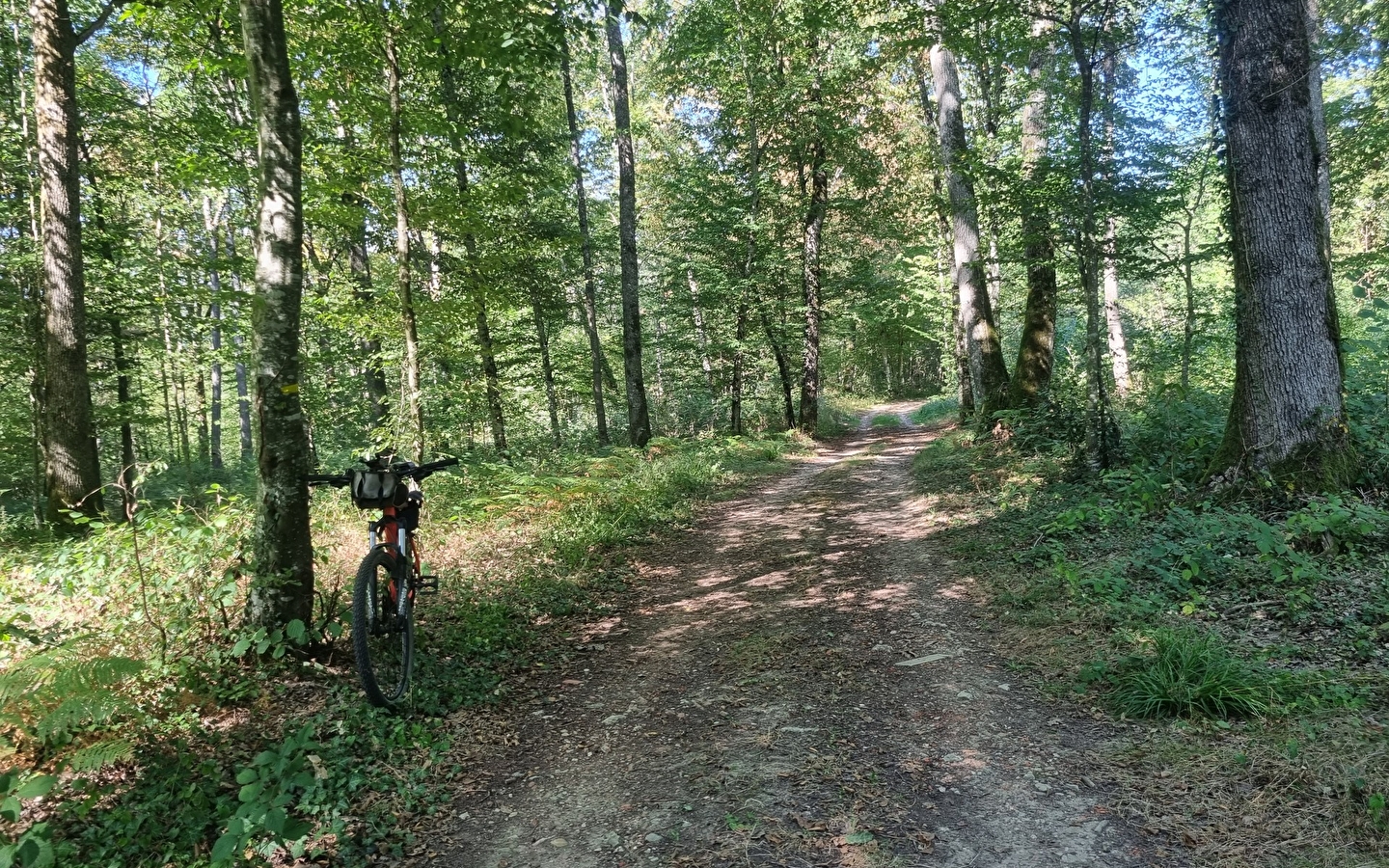 Circuit Gravel n°6 (rouge) Chemins des bois de Bresse