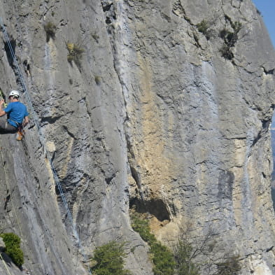 Escalade avec Lézard des Bois