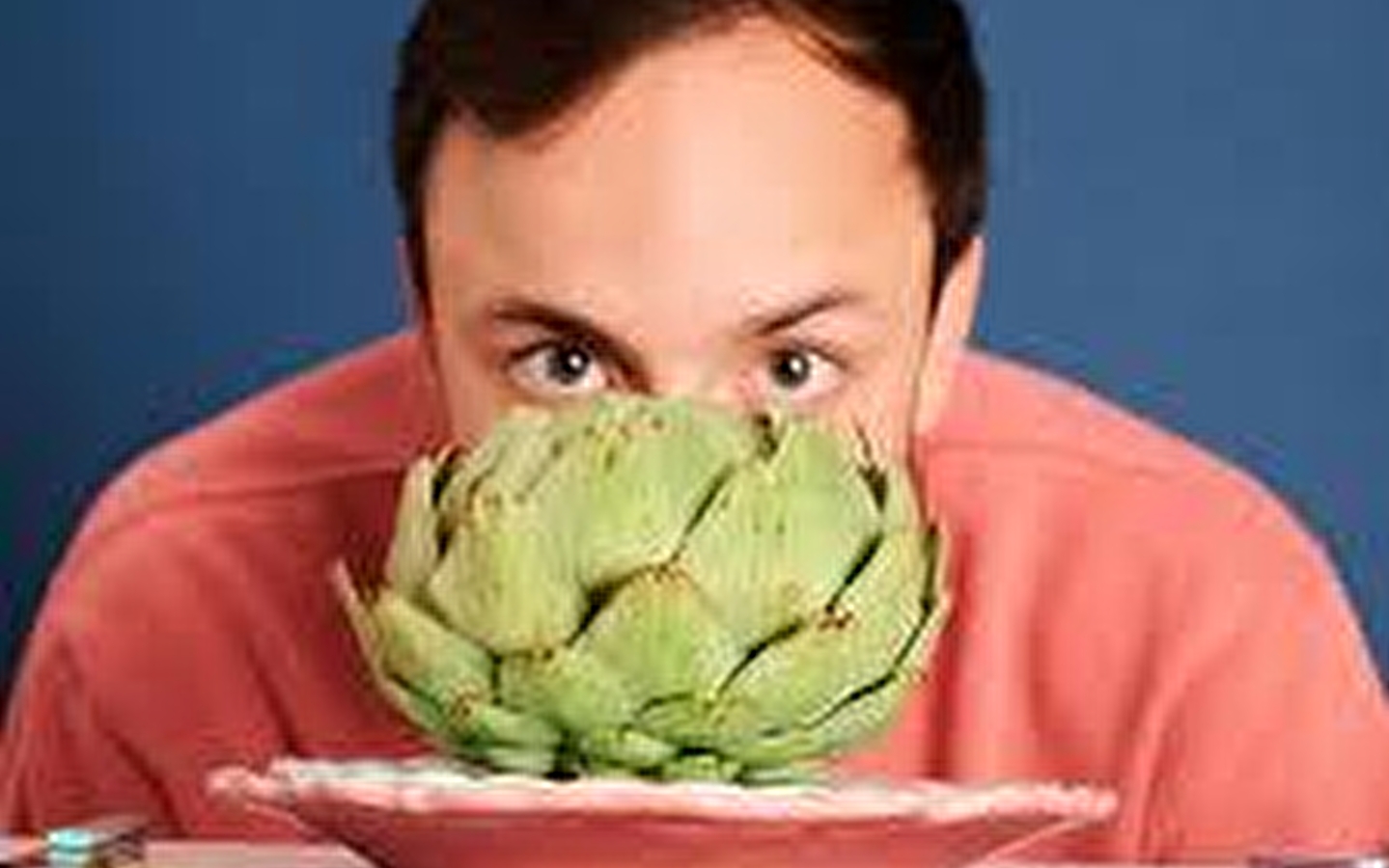 Festival Les Quatre Saisons Printemps 2026