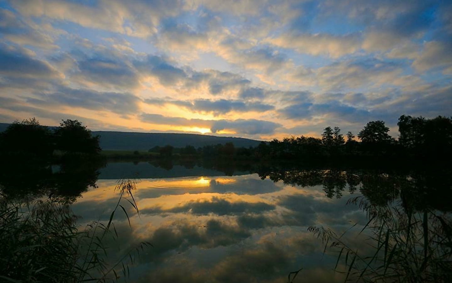 Etang des Pilles